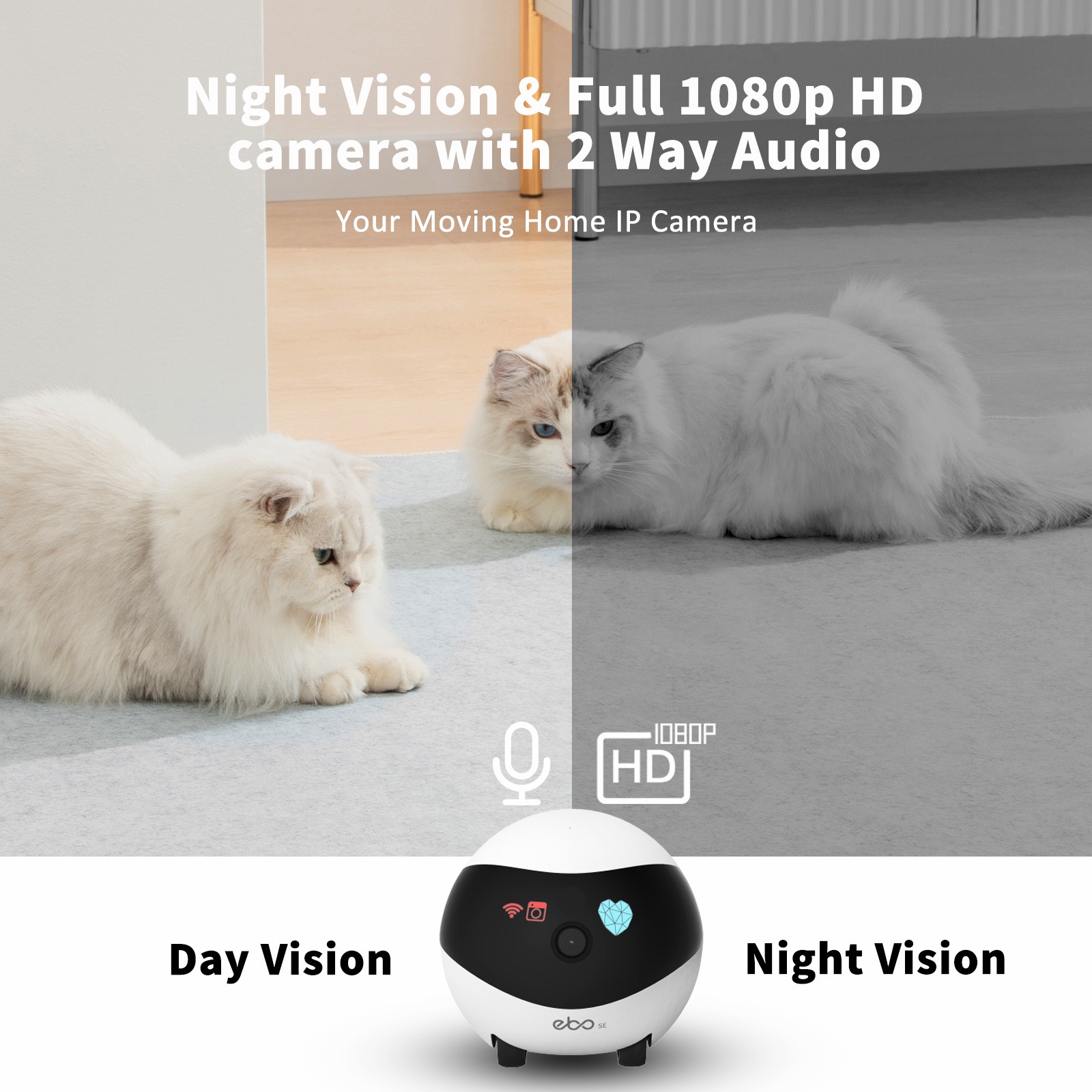 EBO SE – robot pour maison int - Home Security Robots avis et prix