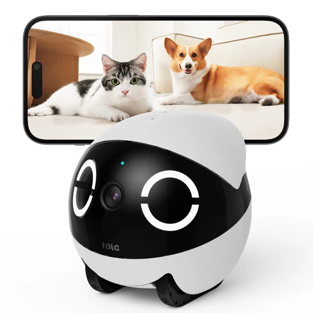 Robot Compagnon Mini pour Anim - Home Security Robots avis et prix