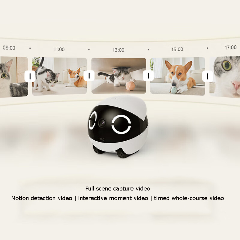 Robot Compagnon Mini pour Anim - Home Security Robots avis et prix