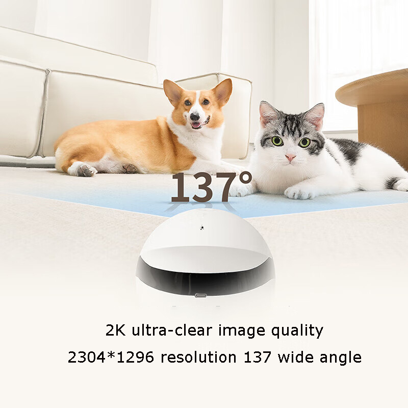 Robot Compagnon Mini pour Anim - Home Security Robots avis et prix